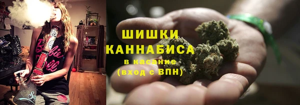 шишки Медногорск