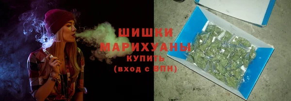 шишки Медногорск