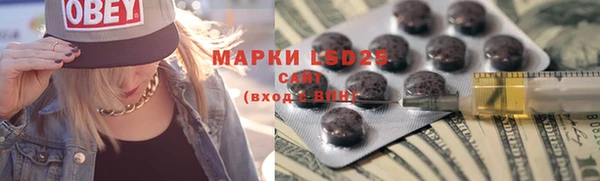 шишки Медногорск