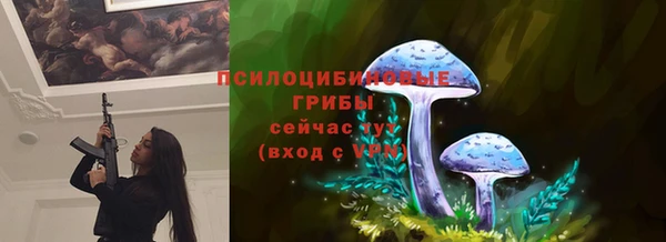 шишки Медногорск