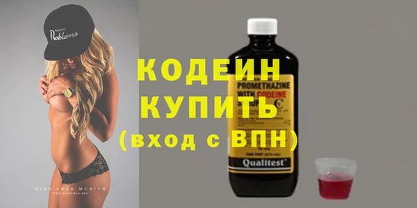 шишки Медногорск
