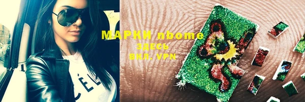 шишки Медногорск