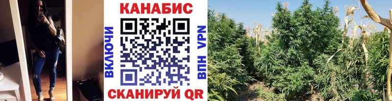 Конопля VHQ  купить   Первомайск 